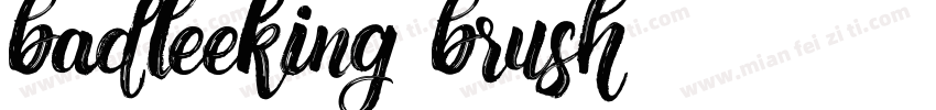 badleeking brush字体转换